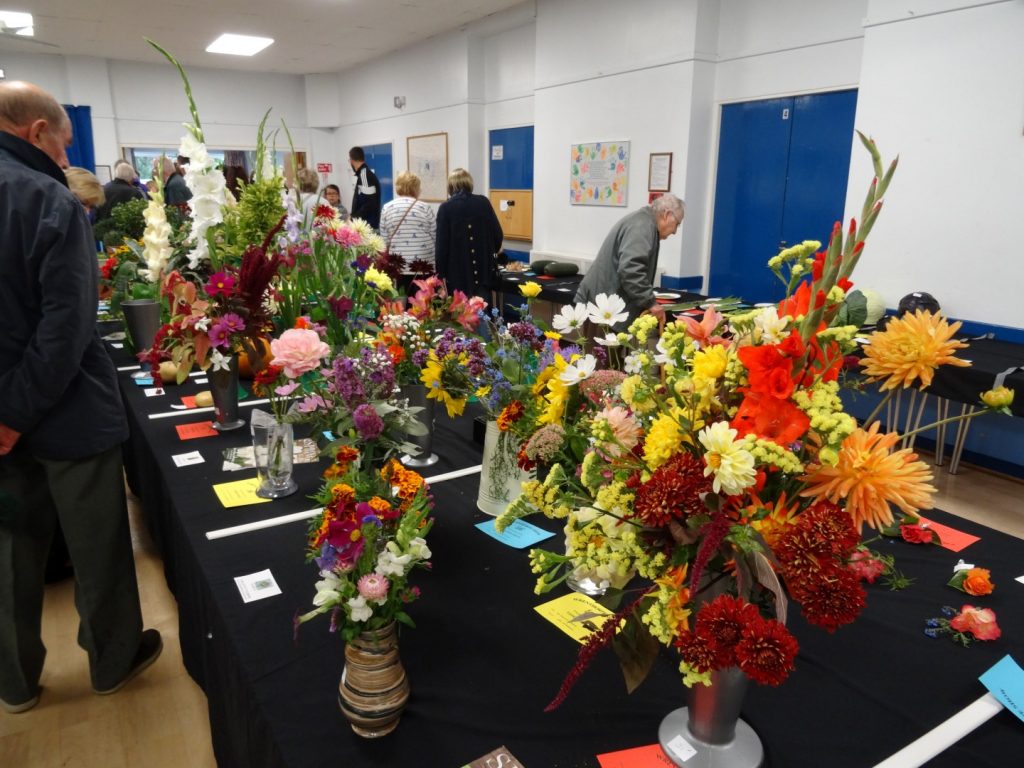 Show Class Results 2019 1 DSC07666 Large